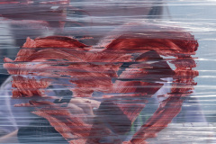 2022_1188556