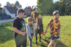 Kucyk