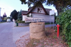 DSCN0781