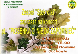 Stokrotki koncert