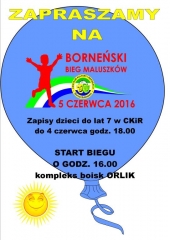biegmaluszkow2016