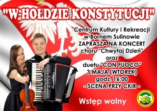 ckir-plakat-wholdziekonstytucji