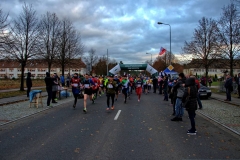 DSC_6535