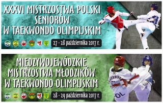 Miedzywojewodzkie-Mistrzostwa