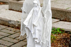 17-szkolenie