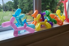 106922219_602728787022229_2873659887086659292_n