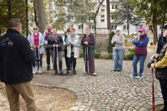 IMG_20261017_110337