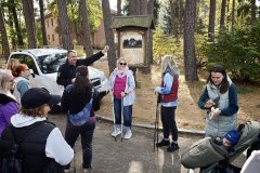 IMG_20261017_123631