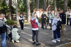 IMG_20261017_123701