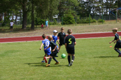 IMG_8412