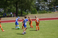 IMG_8517