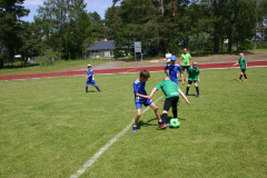 IMG_8724