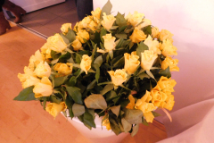 DSCN0449