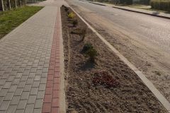 Prace porządkowe Radacz-5