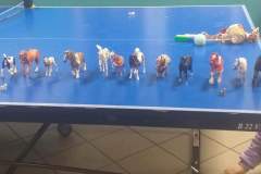 received_559476992784042