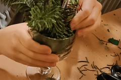 IMG20231215160949