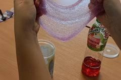 IMG20240117101844