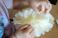 IMG20230816164534