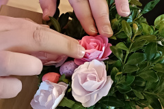 IMG20230327165930
