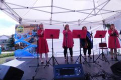 Koncert Ontis i przyjaciele