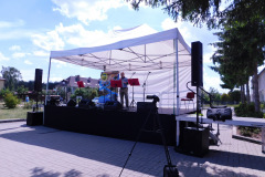 Koncert Ontis i przyjaciele
