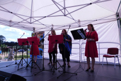 Koncert Ontis i przyjaciele