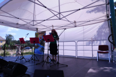 Koncert Ontis i przyjaciele