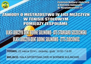 tenis_mecz_2014