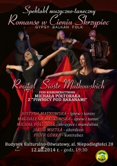 wbornemsulinowie_plakat_rom
