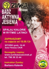 plakat_borne-ix-2012