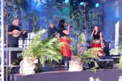 DSCN0366
