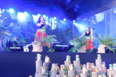 DSCN0395