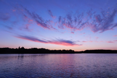 DSCN0429