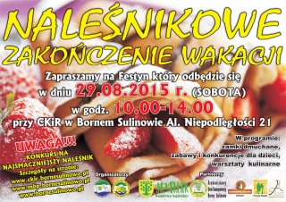 plakat-nalesnikiwakacje_0