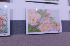 DSCN0242