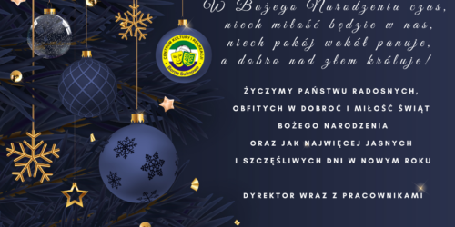 Wesołych Świąt!